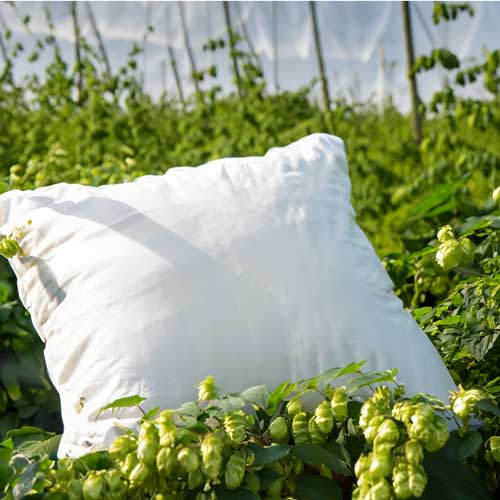 Kräuterkissen Hopfenkissen